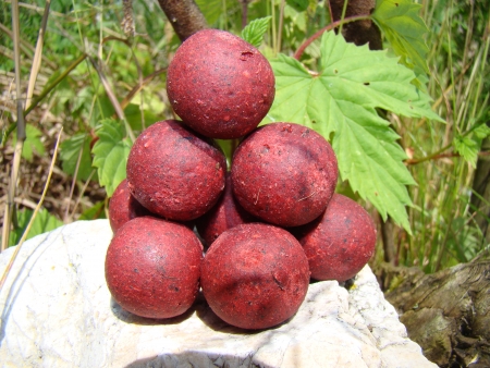 Boilie Venu�e 2,5 kg (brusinka/mu�le)