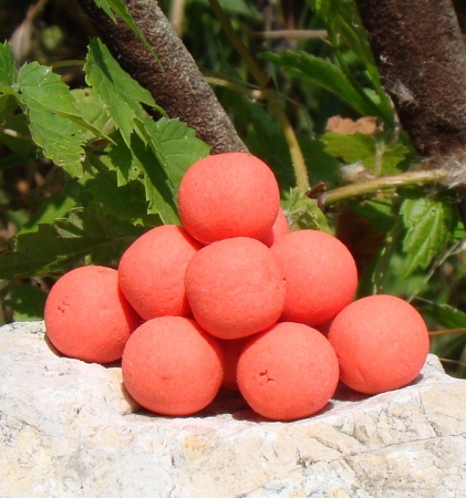 Pop up 40 g Venu�e (brusinka/mu�le)