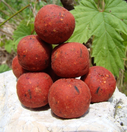 Hotov� boilie Tibera (vi�e�/ko�en�) 2,5 kg