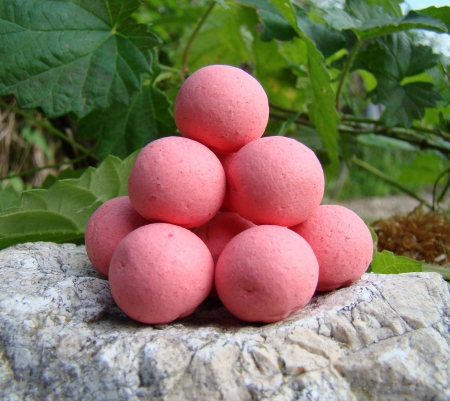 Pop up 40 g Brutus (játra/česnek)