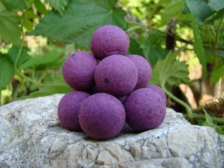 Pop up 40 g Isis (lesn� plody/humr)