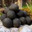 Boilie Agrippa 100 g (uzen� makrela)