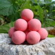 Pop up 40 g Brutus (j�tra/�esnek)