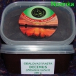 Obalovac pasta Decimus 200g (belsk koen)