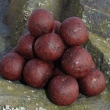 Hot. boilie Isis 100 g      (lesn� plody/humr)
